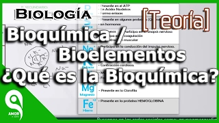 Biología  Bioquímica  Bioelementos ¿Qué es la Bioquímica 14 [upl. by Connel]