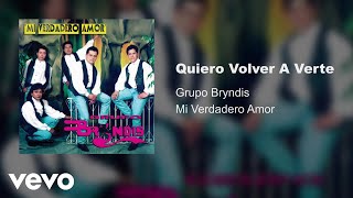 Grupo Bryndis  Quiero Volver A Verte Audio [upl. by Ettigdirb140]