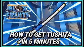 How To Get Tushita Under 3 Minutes  Blox Fruit Tushita Puzzle [upl. by Nwahsem799]