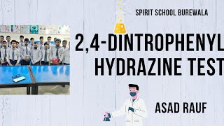 24 dintrophenyl hydrazine test 24 DNPH test  identification of ketones  10th class practicals [upl. by Nerrot]