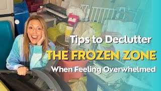 The Frozen Zone  5 Best DeCluttering Tips for feeling Overwhelmed  Hoarding [upl. by Evin]