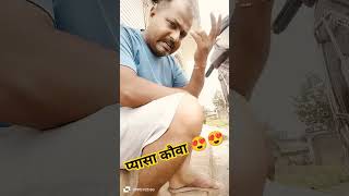 कौवा आज भी प्यास है🦅🦅shortvideo comedy Gkcomedy1984 please like and subscr [upl. by Elletsirk]