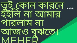 তুই কোন কারণে হইলিনা আমার পারলামনা আজও বুঝতে। tui kon karone hoilina amar parlamna ajo bujte meher [upl. by Roxana639]