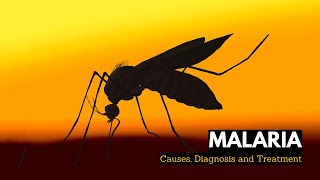 What is Malaria Causes Signs and Symptoms Diagnosis and Treatment [upl. by Fruma]