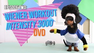 Episode Two Wiener Workout Intensity 3000 DVD [upl. by Firmin]