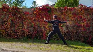 Tai Chi Chen  Laojia yi lu  Dos  1ère Partie  Vitao Vosges  Epinal [upl. by Kayley]