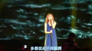 【心和平音樂會】－白安20130727 [upl. by Atiuqrahc]