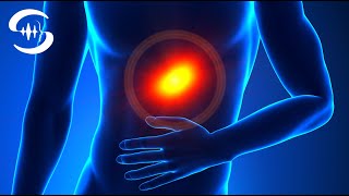 Magenschmerzen Frequenzen  Magen Darm Heilung beschleunigen [upl. by Schecter188]