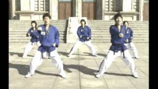 taekwonmoo  Taekwondo Dance [upl. by Allard82]