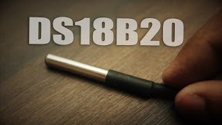 DS18B20 Temperature Sensor Tutorial [upl. by Caro685]