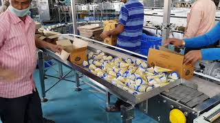 Cream Bell Cone line with CheckWeigher  By Beeta Conveyor [upl. by Enileda373]