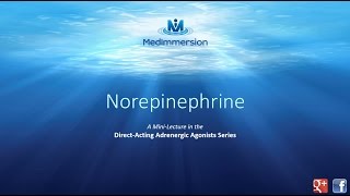 Norepinephrine [upl. by Primalia]