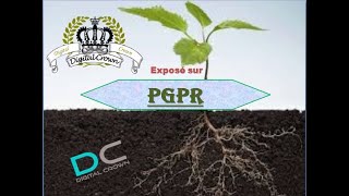 PGPR plant growth promoting Rhizobacteria [upl. by Lorilyn733]