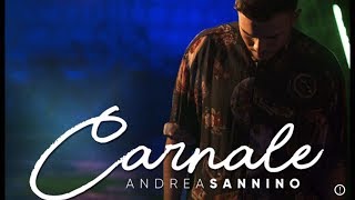 Andrea Sannino  Carnale [upl. by Mylander]