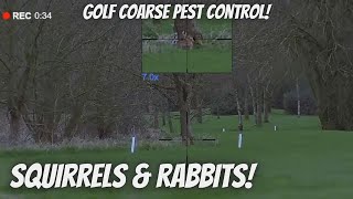 Pest Control At the Golf Coarse Squirrels amp Rabbits [upl. by Coppock]