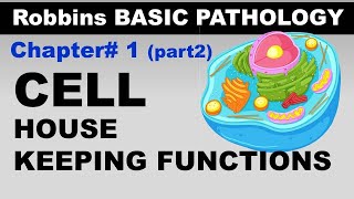 Chp1 part2 Robbins Basic Patho  Cellular Housekeeping  Cell as a unit of Health and Disease [upl. by Ainocal]