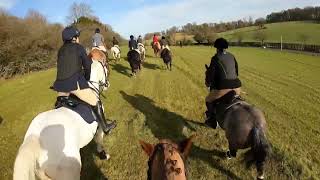 28124 hunting Rotherfield Park with the South Down Bloodhounds [upl. by Ana856]