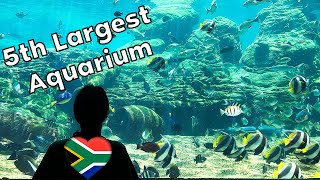 uShaka Marine World  Visit the 5th Largest Aquarium in the World [upl. by Yasmin]