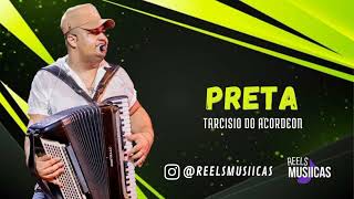 Tarcisio do Acordeon  PRETA Repertório novo [upl. by Lundquist]