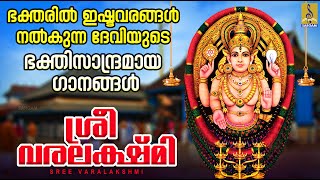 ശ്രീ വരലക്ഷ്മി  ദേവി ഭക്തിഗാനങ്ങൾ  Devi Devotional Songs Malayalam  Sree Varalakshmi [upl. by Placeeda]