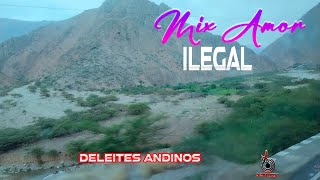 DELEITES ANDINOS  MIX AMOR ILEGAL  PRIMICIA ENERO 2024 [upl. by Bengt464]