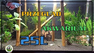 Przegląd Akwarium 25L [upl. by Novert704]