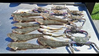 lake illawarra flathead fishing session [upl. by Assilav]