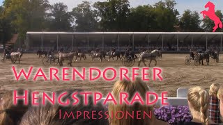 Warendorfer Hengstparade 2015  Verabschiedung Hurricane [upl. by Harper328]