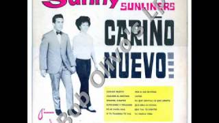 Sunny Ozuna  Carino Nuevowmv [upl. by Nibot]