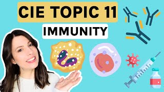 Immunity antibodies amp vaccines  Topic 11 ENTIRE TOPIC CIE [upl. by Led893]