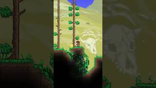 Убил стену плоти в первый же день terraria [upl. by Eislehc630]