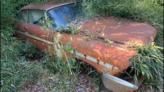 1957 Plymouth Fury Extraction from a 40 year Bamboo field [upl. by Tigges]