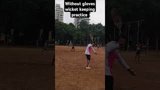 without gloves wicket keeping practice youtubeshorts youtube cricket cricketreels cricketvideo [upl. by Evered]