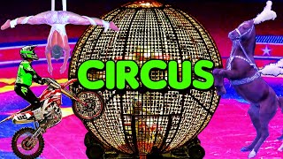 Circus Show 2023 Spectacular  Motorcycles in Globe 🌐 Arabian Horses 🐎 Clowns 🤡 and Much More [upl. by Giffie]