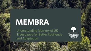 Understanding Memory of UK Treescapes for Better Resilience and Adaptation MEMBRA [upl. by Albie]