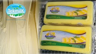 Processo de fabricação do queijo mussarela  Laticínio Sucupira  mussarela  queijomussarela [upl. by Caresse]