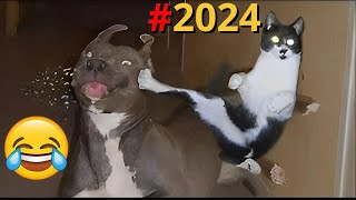 TENTE NÃO RIR  Melhores Memes e Vídeos Engraçados 2024 7 [upl. by Rusticus253]