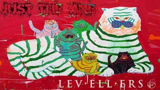 The Levellers  Just The One [upl. by Aihseyk]