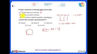 9 Sınıf Biyoloji Kazanım Testleri 25 2022  2023 Hücre zarından madde geçileri1 [upl. by Nahs329]