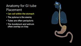 GI Tubes [upl. by Oicirbaf411]