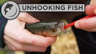 How to Unhook a Fish with a Disgorger [upl. by Eicyaj]