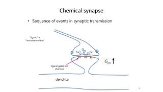 7 Synapses  Intro to Neural Computation [upl. by Okiruy]