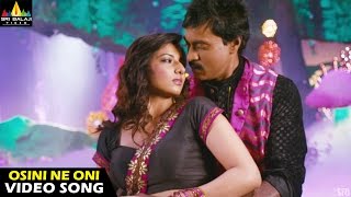 MrPellikoduku Songs  Osini Ne Oni Video Song  Sunil Isha Chawla  Sri Balaji Video [upl. by Naryb]