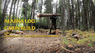 Utilized a Sawmill to Prep Logs for my Off Grid Alaska Cabin Build in the woods [upl. by Eillehs]