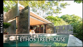 Modern Brutalist Architecture Blended with Nature  Ethos Tree House [upl. by Airpac]