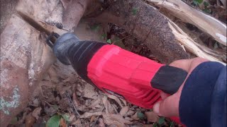 cutting big limb with a Hyper Tough reciprocating saw [upl. by Eillam]