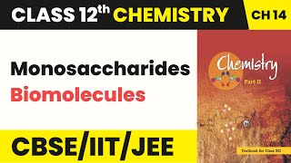 Class 12 Chemistry Chapter 14  Monosaccharides  Biomolecules 202223 [upl. by Gregory]