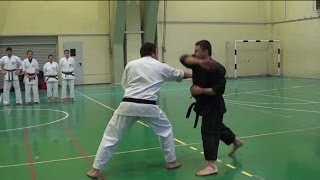 Shorin Ryu Karate Do  Okinawan Kobudo  Self Defense [upl. by Ainavi480]