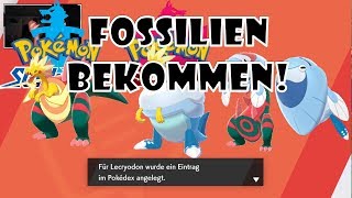 ALLE FOSSILIEN BEKOMMEN IN Pokemon Schwert Schild  OG DNZ [upl. by Ane]