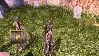 Lets Play Neverwinter Nights 150 Luskan Cemetary Caretaker [upl. by Ravens]